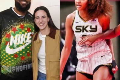 “LeBron BETRAYED Us!” – WNBA Fans Erupt, Accuse King James of Turning His Back on His Own Race!