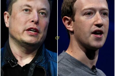 LIVE TV SHOCK: One Ruthless Sentence From Elon Musk Left Mark Zuckerberg FROZEN—Viewers Say It Was the Ultimate Power Move!