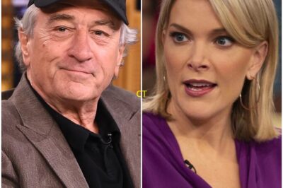 🎬 SHOCKING RETORT: ROBERT DE NIRO’S 8-WORD REPLY TO MEGYN KELLY STUNS LIVE AUDIENCE — STUDIO GOES SILENT