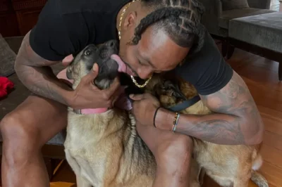 NBA legend Dwight Howard suffers devastating personal tragedy after horror hit-and-run incident as he begs fans for help