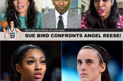 Jaw-Dropping Attack! Sue Bird just completely DESTROYED Angel Reese in a brutal live interview after she threw shade at Caitlin Clark, leaving fans stunned and wondering if this feud will spiral out of control for the rest of the WNBA season.