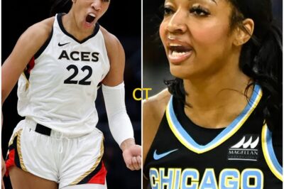 🔥 “She’s Not On My Level!” A’ja Wilson Publicly Belittles Angel Reese After All-Star Game — But Reese’s 17-Word Clapback Silences the Arena and Sends the Internet Into Meltdown A’ja thought she had the final word. But Angel Reese delivered a comeback so fast, so precise, and so devastating that even Wilson’s teammates turned to look. The crowd exploded. The cameras captured every second. And suddenly, it was clear — this rivalry just got real.