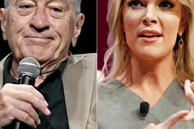 ‘I Don’t Care What You Think of Me’: Robert De Niro’s 8 Words That Left Megyn Kelly Speechless — And America Is Obsessed