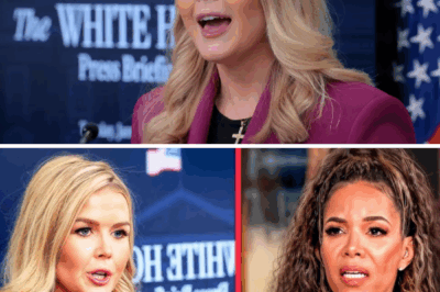 Karoline Leavitt vs. ‘The View’: Did This Fiery Exchange Expose a Deeper Media Divide?