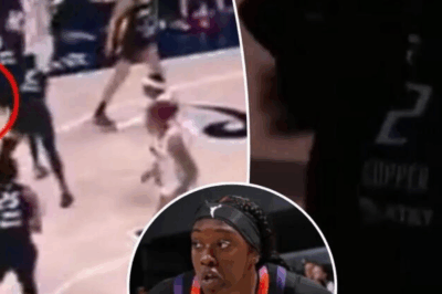 VIDEO: Social Media Is Going After The WNBA For Ejecting Fan Because They Mocked Player Who Lost Her Wig Mid-Game