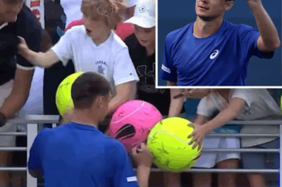 Grown Man Is Getting Blasted By Social Media For Stealing Tennis Star’s Cap From Heartbroken Kid [VIDEO]