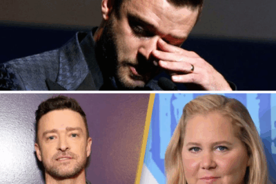 After Justin Timberlake’s ‘Shock’ Lyme Disease Diagnosis, Celebrities Open Up About Their Own Battles — From Hidden Struggles to Public Revelations, The Growing Spotlight on This Often-Misunderstood Illness Is Changing How We Talk About Chronic Health. Who Else Is in the Lyme Disease Spotlight Now?