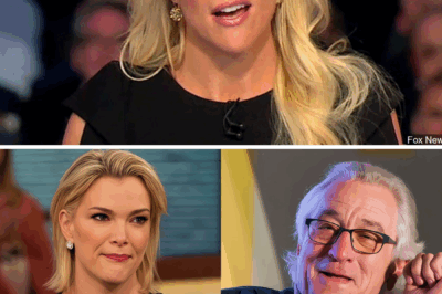 “I Don’t Care What You Think of Me”: Robert De Niro Stuns Megyn Kelly With Eight Words That Shifted the Entire Room