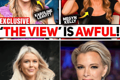Karoline Leavitt Shatters The View in Explosive Showdown—Then Megyn Kelly Drops a 12-Word On-Air Bombshell That Silences the Room and Sends ABC Into Full Crisis Mode. What Was Meant as a Joke Has Now Sparked a Viral Firestorm With Major Fallout—and Viewers Are Demanding to Know What Happens Next.
