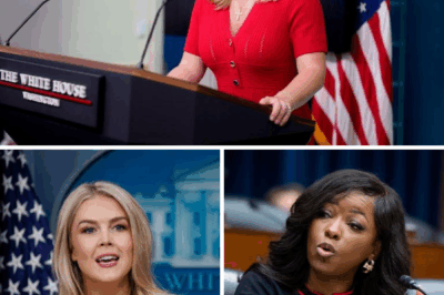 Explosive On-Air Clash: Karoline Leavitt Hits Back Hard at Jasmine Crockett—You Won’t Believe What Happened Next!