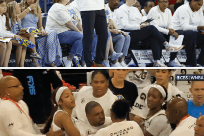 In a chaotic scene that stunned fans and players alike, Chicago Sky head coach Tyler Marsh was ejected after a fiery confrontation with a referee nearly turned physical, raising serious questions about composure, officiating tensions, and how this explosive moment could impact both Marsh’s reputation and the team moving forward.