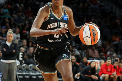 “This Isn’t What a Role Model Should Wear”: Didi Richards Is Facing Fierce Social Media Backlash After Posting Revealing Photos on Instagram — Critics Say the WNBA Star Is Hurting Her Image, While Others Defend Her Right to Express Herself.