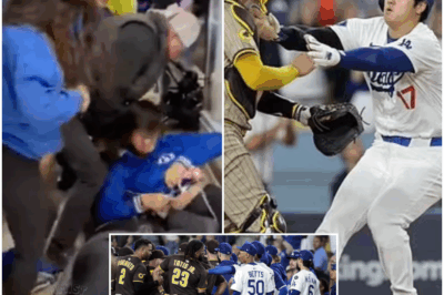 What the hell is going on with these recent games when VIDEO: Brutal brawl during Dodgers-Padres game forces security guard to restrain a fan