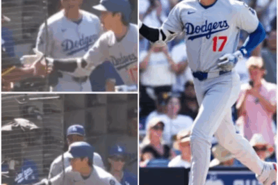 Padres Heckler Embarrassed as Shohei Ohtani Reveals SHOCKING Details of What Really Happened Before Embarrassing Viral Moment [VIDEO]