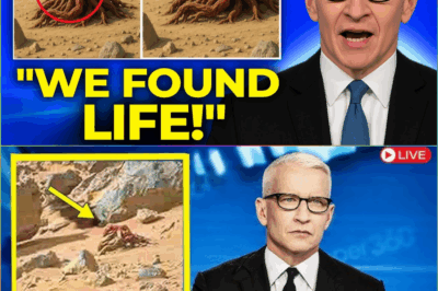 NASA’s Mars Rover Makes Terrifying New Discovery That Could Change Everything We Know About the Red Planet! – What Did It Find?