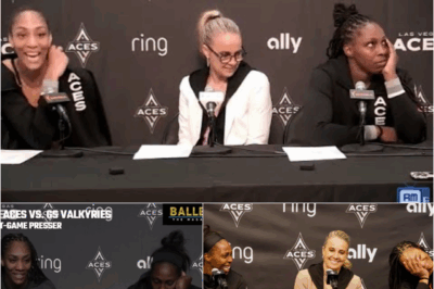 Chelsea Gray Was Shocked A’ja Wilson Used This Analogy After Aces Win Over Mercury