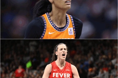 TOTAL CHAOS: A reporter’s stunning bombshell has uncovered DeWanna Bonner’s hidden reason for leaving the Fever and Caitlin Clark, and the shocking details threaten to rewrite WNBA history as fans are left stunned, questioning everything they thought they knew about her loyalty and legacy.