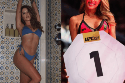 UFC legend Brittney Palmer turns heads in sizzling lingerie as fans call ring girl ‘hot and beautiful’