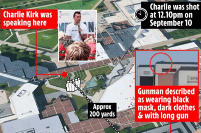 Reconnaissance, execution & escape – expert unpicks Charlie Kirk assassination & reveals key clue that could nail assassin
