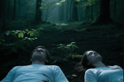 Tourists Vanished in Wisconsin Forests — 5 Years Later Bodies Found Without Organs or Blood…