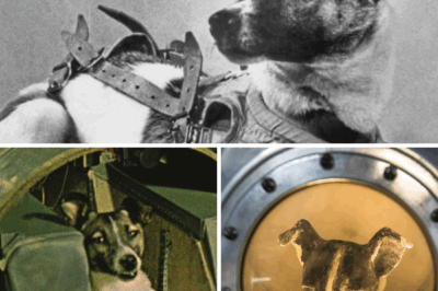Laika: The Dog Who Touched the Stars
