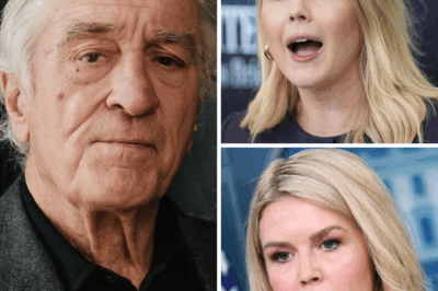 “I don’t care what you think of me.” With eight ice-cold words, Robert De Niro froze Karoline Leavitt mid-insult, silencing a live studio braced for fireworks. No shouting, no theatrics—just a devastating line that flipped the balance of power and left fans buzzing long after the cameras cut.