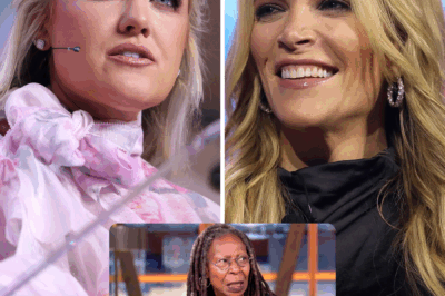 ABC has officially replaced The View with The Charlie Kirk Show, co-hosted by Erika Kirk and Megyn Kelly. In a stunning move, executives declared, “It’s done.” The daytime shake-up has fans buzzing, critics furious, and the future of morning TV forever changed as the network embraces a bold new direction.