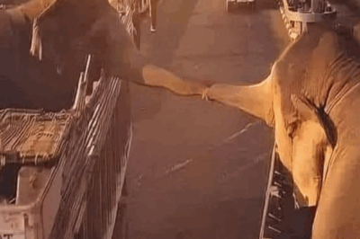 The Touch That Broke Our Hearts.