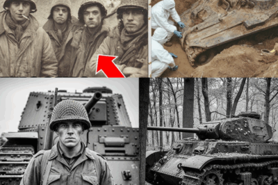 ⚡ SHOCKING DISCOVERY IN A BELGIAN FOREST: A HIDDEN WWII SECRET UNEARTHED AFTER 40 YEARS ⚡