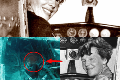 THE FINAL TRANSMISSION: THE LAST MYSTERY OF AMELIA EARHART