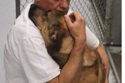 From Forgotten to Forever: The Shelter Dog Who Finally Found Home.