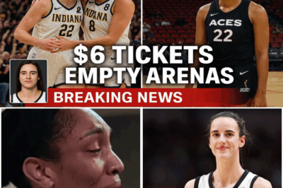 $6 Finals Tickets and Empty Seats: How the WNBA’s Biggest Moment Turned Into Its Harshest Reality Check