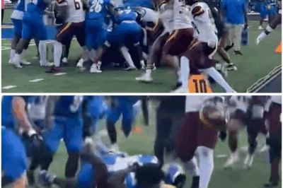 20 college football players, 2 head coaches suspended for wild Fort Valley State, Central State brawl after homecoming game