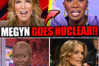 Megyn Kelly REFUSES To Take Joy Reid’s Crap, EXPOSES Her On Air