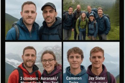 5 Hikers Who Went MISSING in 2024… (Where Are They Now?)