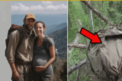 “Missing for 10 Years: What They Found Hanging in the Appalachians Left Everyone Speechless”