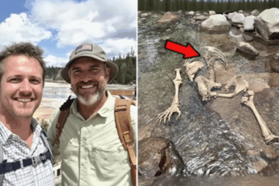 What They Found Under the Stones in Yellowstone Solved a 9-Year Mystery
