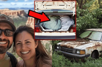 Pareja Desapareció Camino al Parque — 5 Años Después Hallan su Coche con SECRETO en el MALETERO..