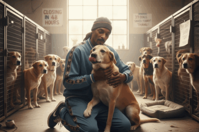 BREAKING: Snoop Dogg Steps in Just in Time to Save NY Dog Shelter on Brink of Closure 🐾
