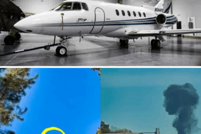 Chilling Audio Captures Panicked Private Jet Pilot Crying Out as Plane Plunges into Fiery Doom in Michigan Woods, Killing Three [VIDEOS]