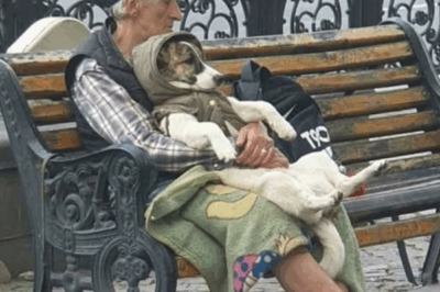 “Operation Tractor: Captain Whiskers’ Plan for Power”.