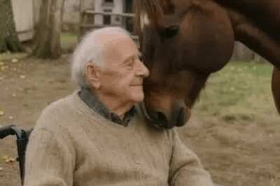 Before He Said Goodbye to His Horse, Something Truly Miraculous Happened!