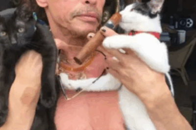 Rock Legend Turns Compassion into a Home for Abandoned Cats.