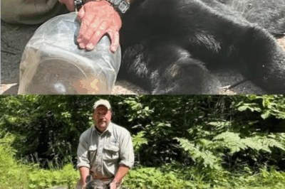 The Bear with the Plastic Jar