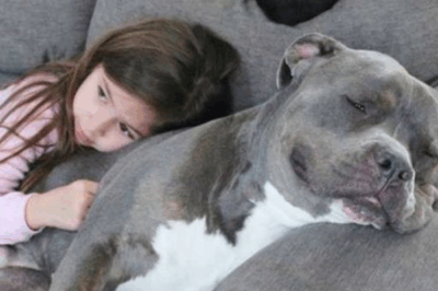 THE DOG THEY WANTED US TO PUT DOWN IS THE ONLY REASON MY DAUGHTER SLEEPS THROUGH THE NIGHT