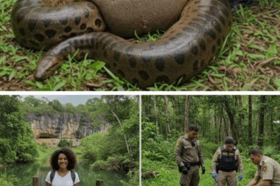 San Cristóbal de las Casas, Chiapas – Southeastern Mexico, with its majestic Lacandon Jungle and ancient Mayan remains, is a territory where nature still rules with an iron fist.