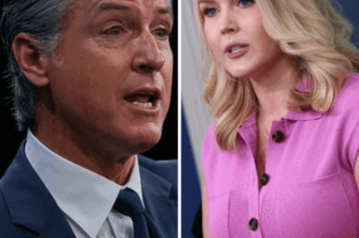 Governor Gavin Newsom Fires Back After Heated TV Comment Sparks National Outcry