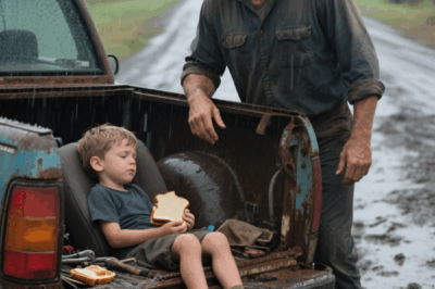 A struggling single dad fixed a stranded farmer’s truck, unaware she is a billionaire. What she did next gave him the shock of his life…