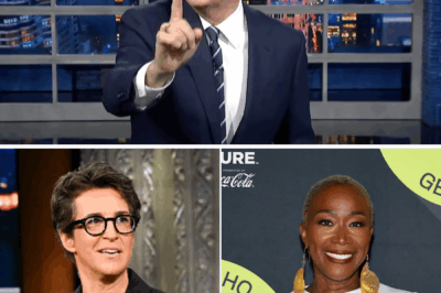 NO BOSSES. NO SCRIPTS. JUST TRUTH: Inside Rachel Maddow’s Rogue Newsroom Revolution That’s Shaking American Media to Its Core