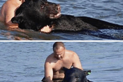 The Man Who Dove for a Bear
